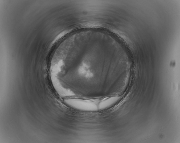 X0000094061306200711161515