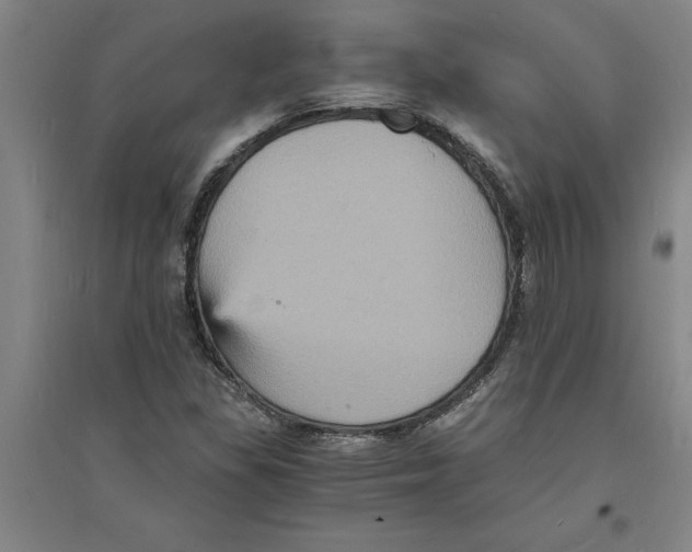 X0000094061309200711161515