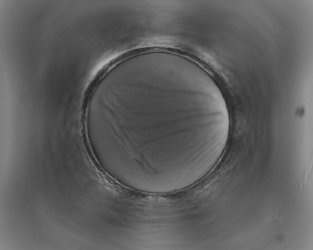 X0000094061312200711161515