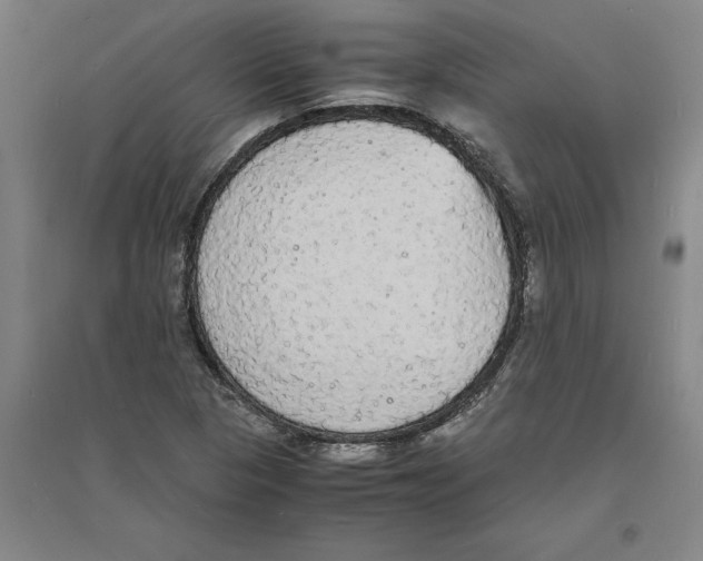 X0000094061313200711161515