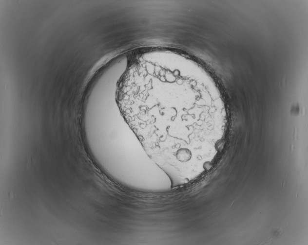 X0000094061314200711161515