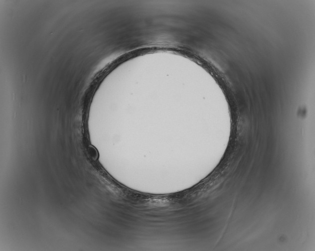 X0000094061315200711161515