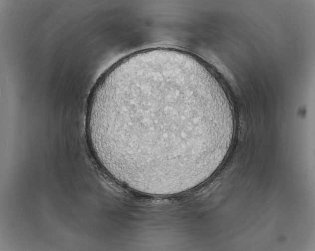 X0000094061316200711161515