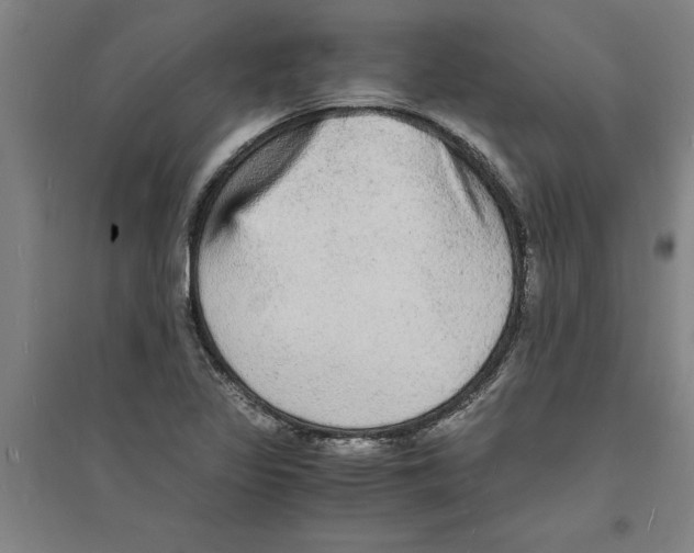 X0000094061317200711161515