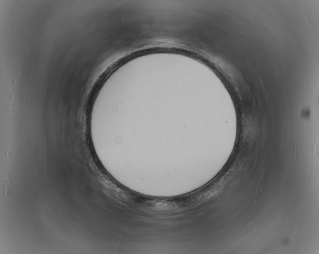 X0000094061318200711161515