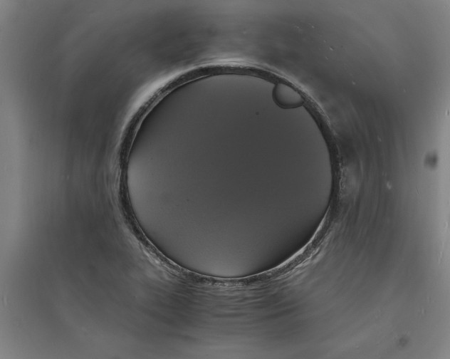 X0000094061319200711161515