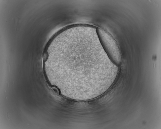 X0000094061320200711161515