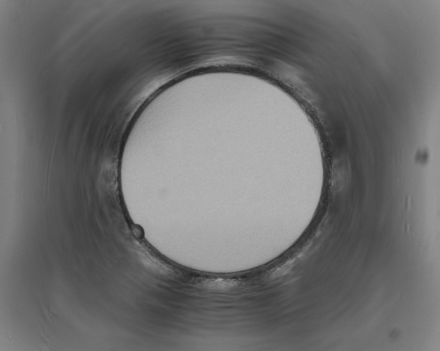 X0000094061321200711161515