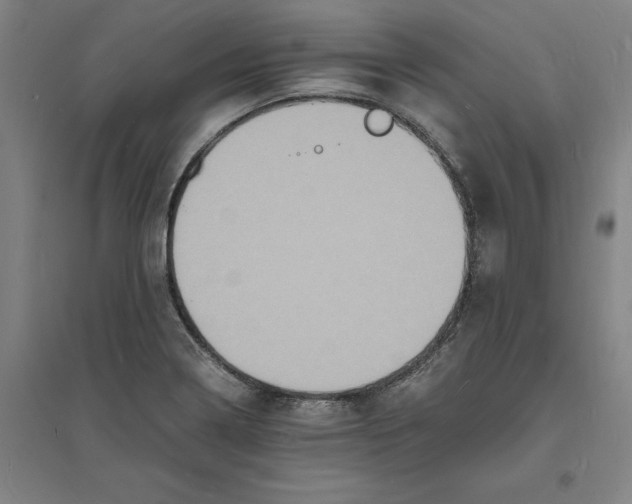 X0000094061322200711161515