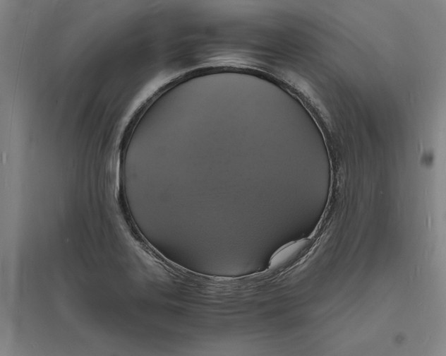 X0000094061323200711161515