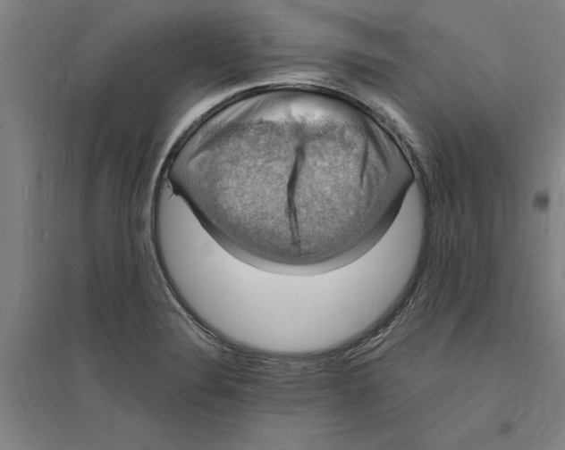 X0000094061324200711161515