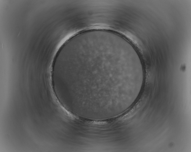 X0000094061325200711161515