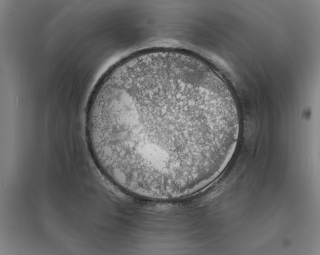 X0000094061326200711161515