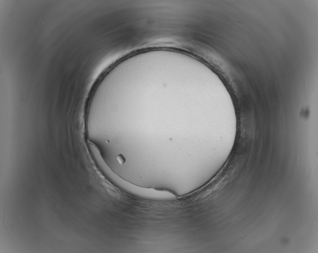 X0000094061328200711161515