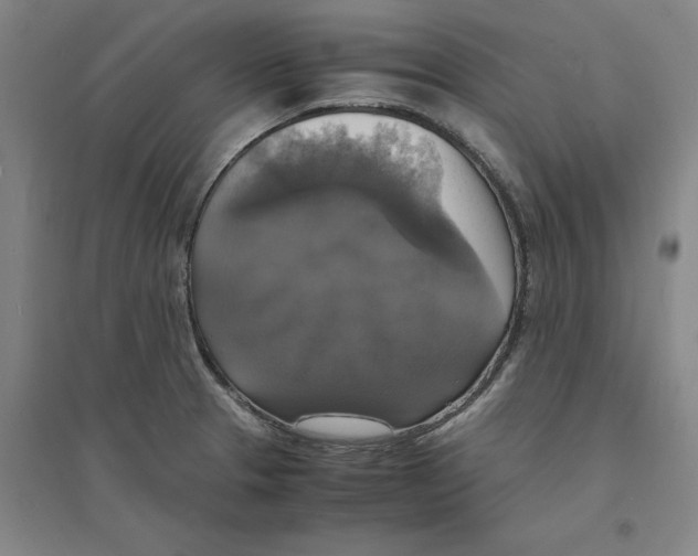 X0000094061329200711161515