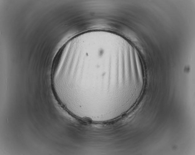 X0000094061330200711161515