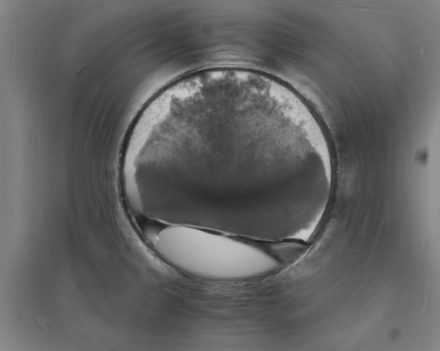 X0000094061333200711161515