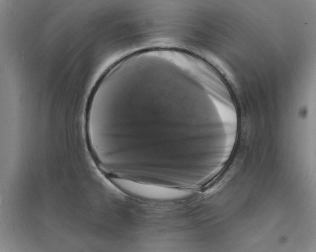 X0000094061334200711161515