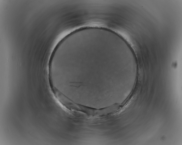 X0000094061335200711161515