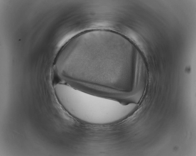 X0000094061336200711161515