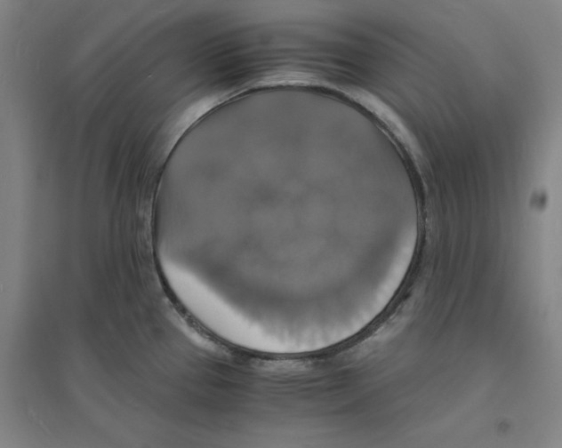 X0000094061337200711161515