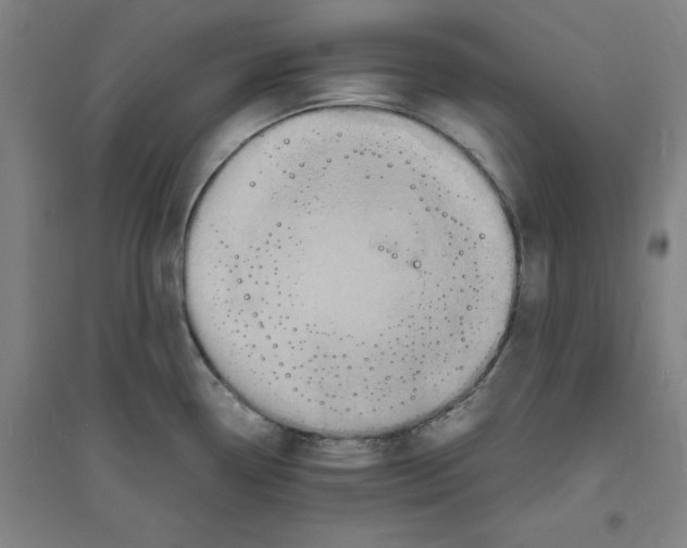 X0000094061338200711161516