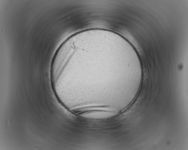 X0000094061339200711161516