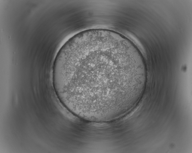 X0000094061340200711161516