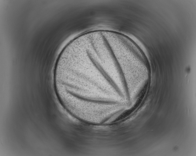 X0000094061341200711161516