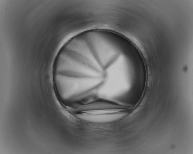 X0000094061342200711161516