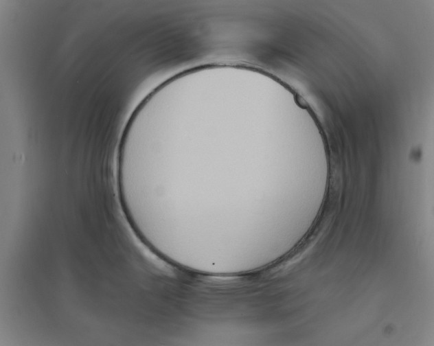 X0000094061343200711161516