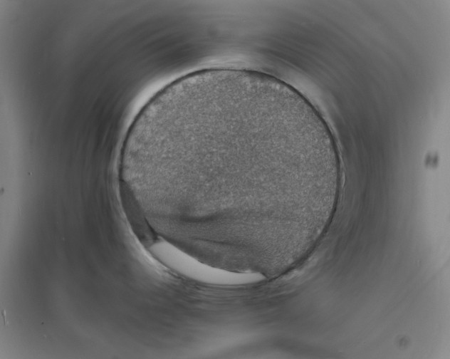 X0000094061344200711161516