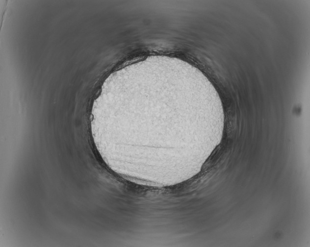 X0000094061345200711161515