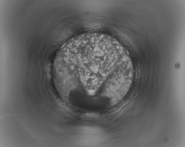 X0000094061346200711161515