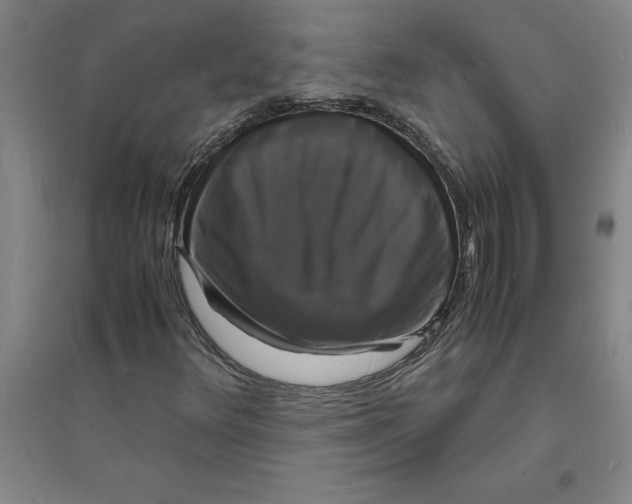 X0000094061348200711161515