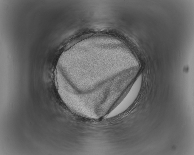 X0000094061349200711161515