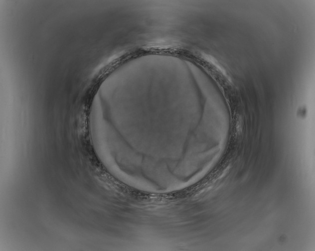 X0000094061350200711161515