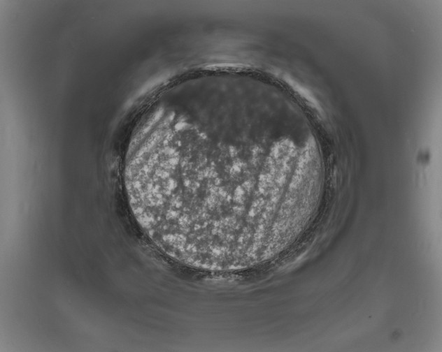 X0000094061351200711161515