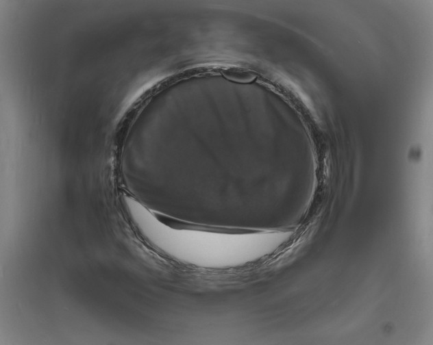 X0000094061352200711161515