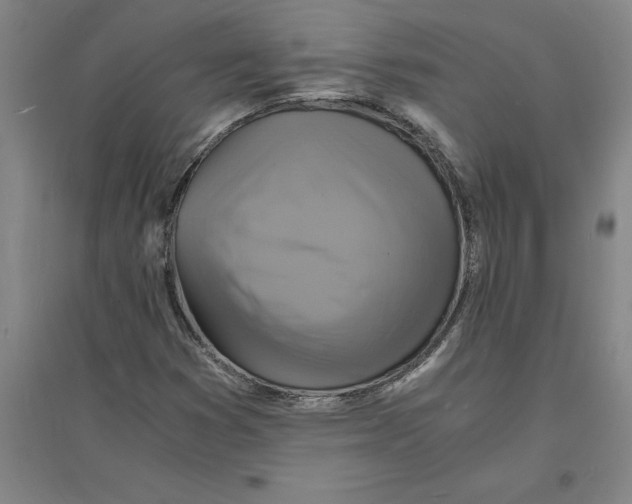 X0000094061353200711161515