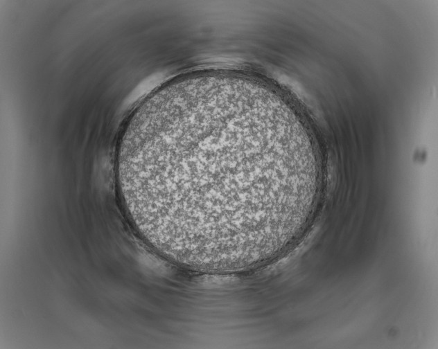 X0000094061354200711161515