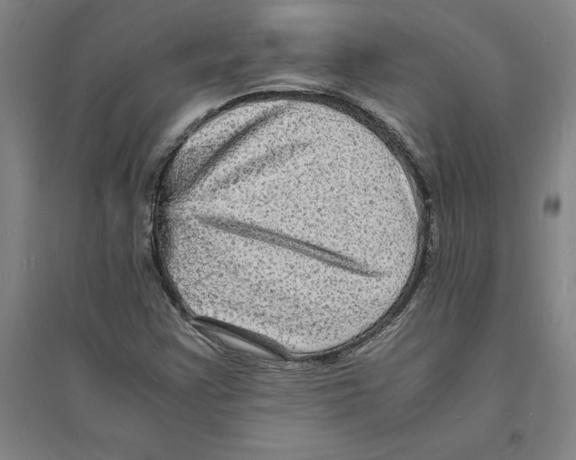 X0000094061355200711161515