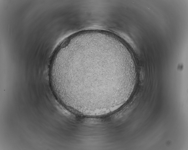 X0000094061356200711161515