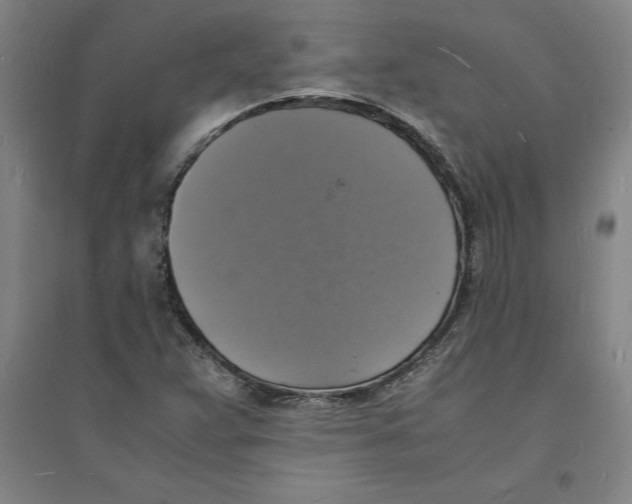 X0000094061359200711161515