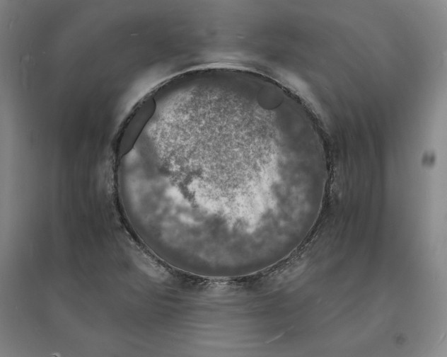 X0000094061360200711161515