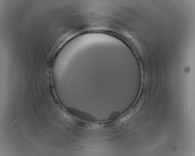 X0000094061361200711161515