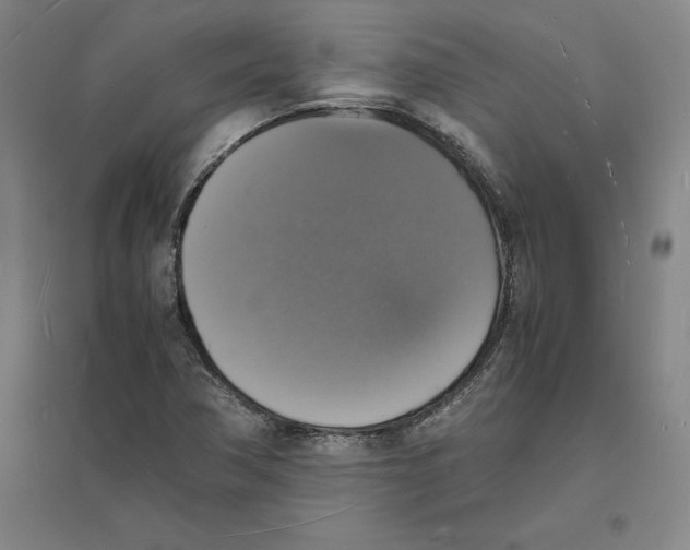 X0000094061362200711161515