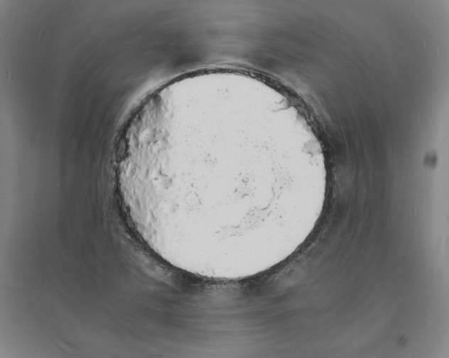 X0000094061363200711161515