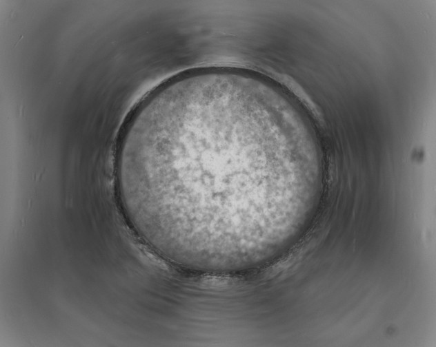 X0000094061364200711161515