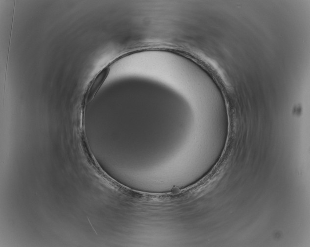 X0000094061365200711161515